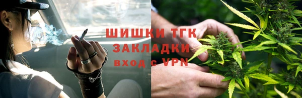 амф Пересвет