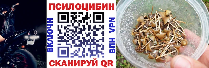 Галлюциногенные грибы Psilocybe  Искитим 